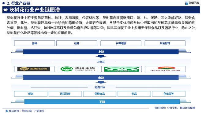 2024版中国灰树花行业市场规模及投资策略研究报告(智研咨询)